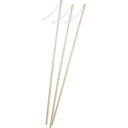 Lampionpálca fa 57 cm