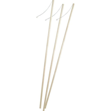 Lampionpálca fa 57 cm